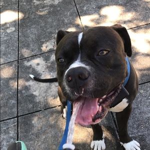 Meet your Posher, Guadalupe